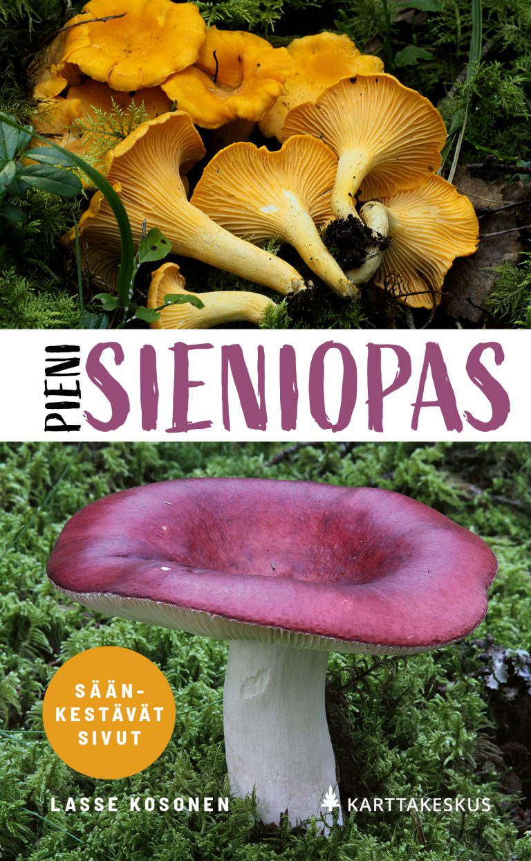 Pieni Sieniopas