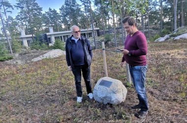 Pekka Jokisuulle nimikkopuu