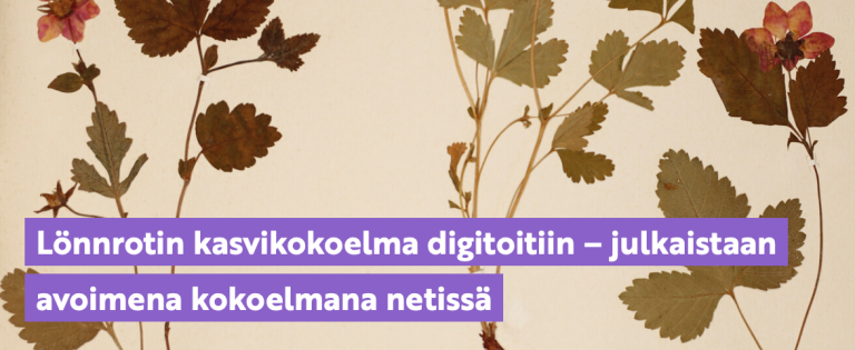 Turun yliopisto