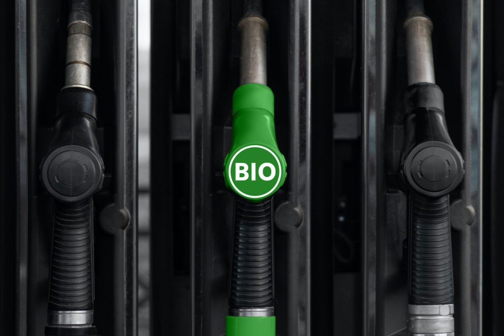 Bioöljy