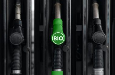 Bioöljy