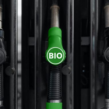Bioöljy