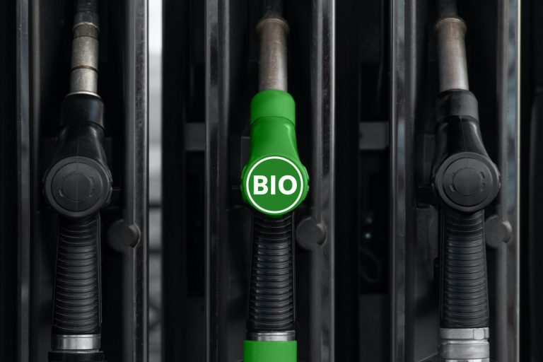 Bioöljy