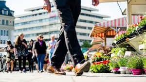 Lounais-Suomen aluekatsaus 1–6/2024: Finnveran rahoitus pk- ja midcap-yrityksille laski ja investoinnit romahtivat Varsinais-Suomessa, Satakunnassa rahoitus kasvoi selvästi – Pk-yritysten odotukset saattavat muuttua telakan uutisten myötä