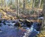 Länsi-Suomeen yli 700 000 euroa tulvasuojeluun ja vesienhallintaan