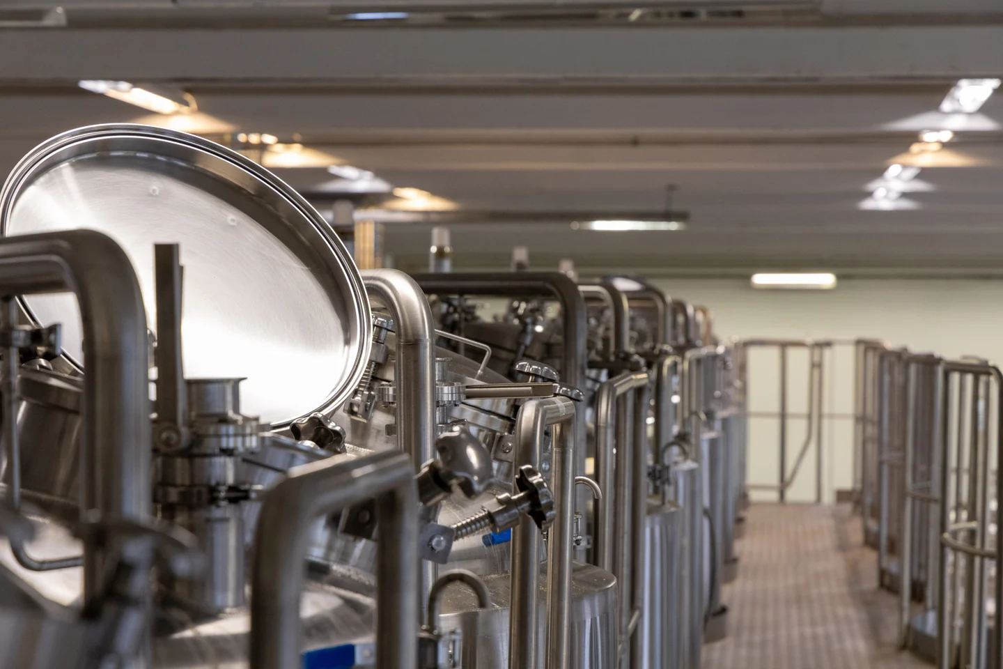 Salama Brewingin olutpurkkeja väriläikikkäine etiketteineen